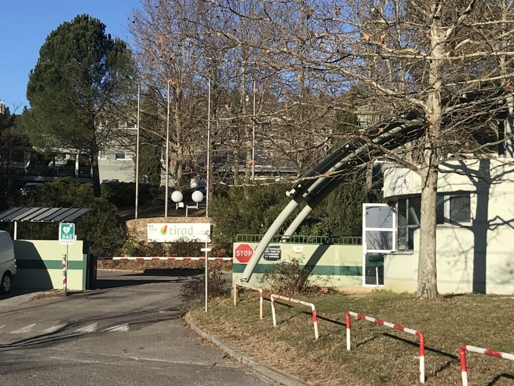 Le Cirad, 40 ans de rayonnement scientifique mondial