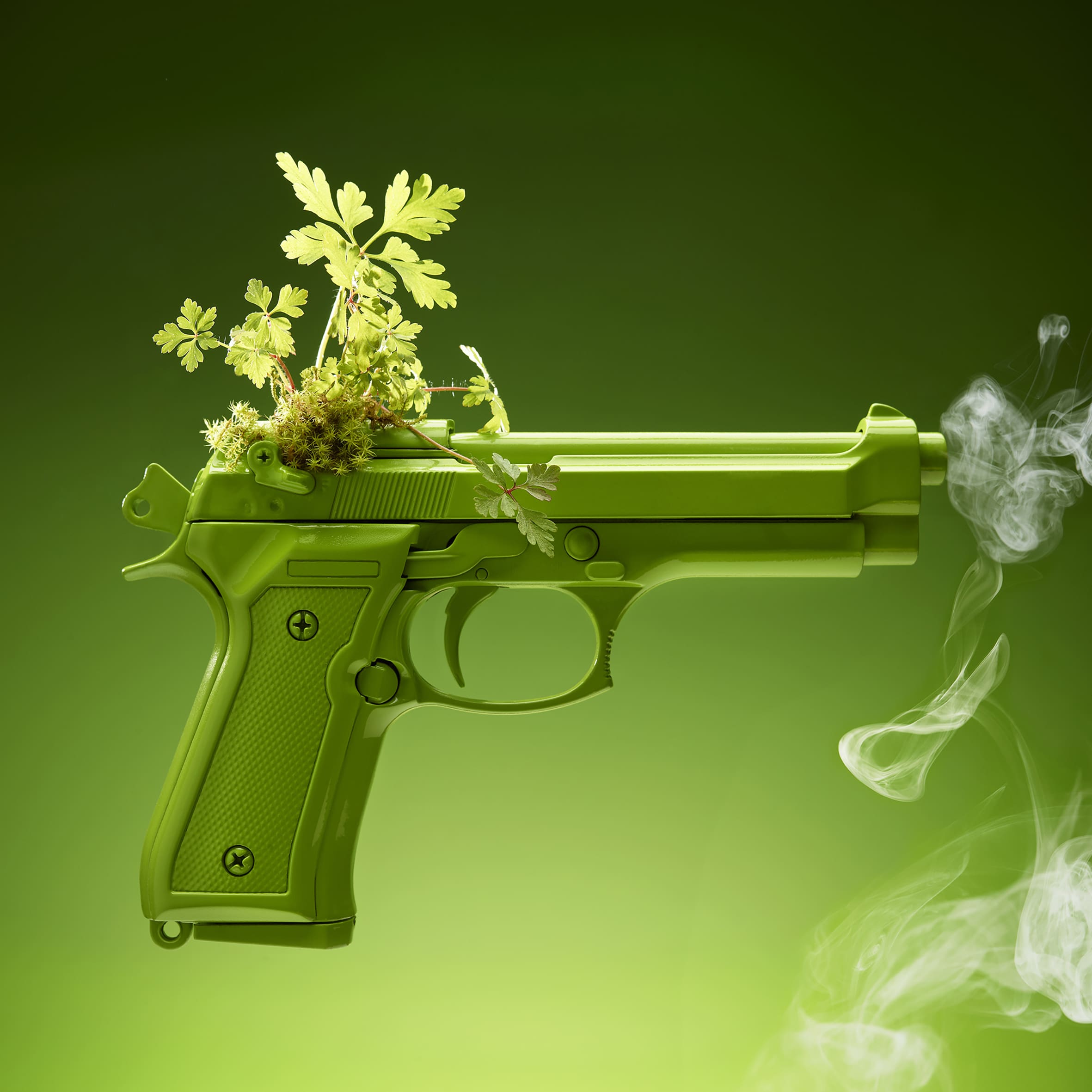 PRETTY PLANTS'S REVENGE - 2014